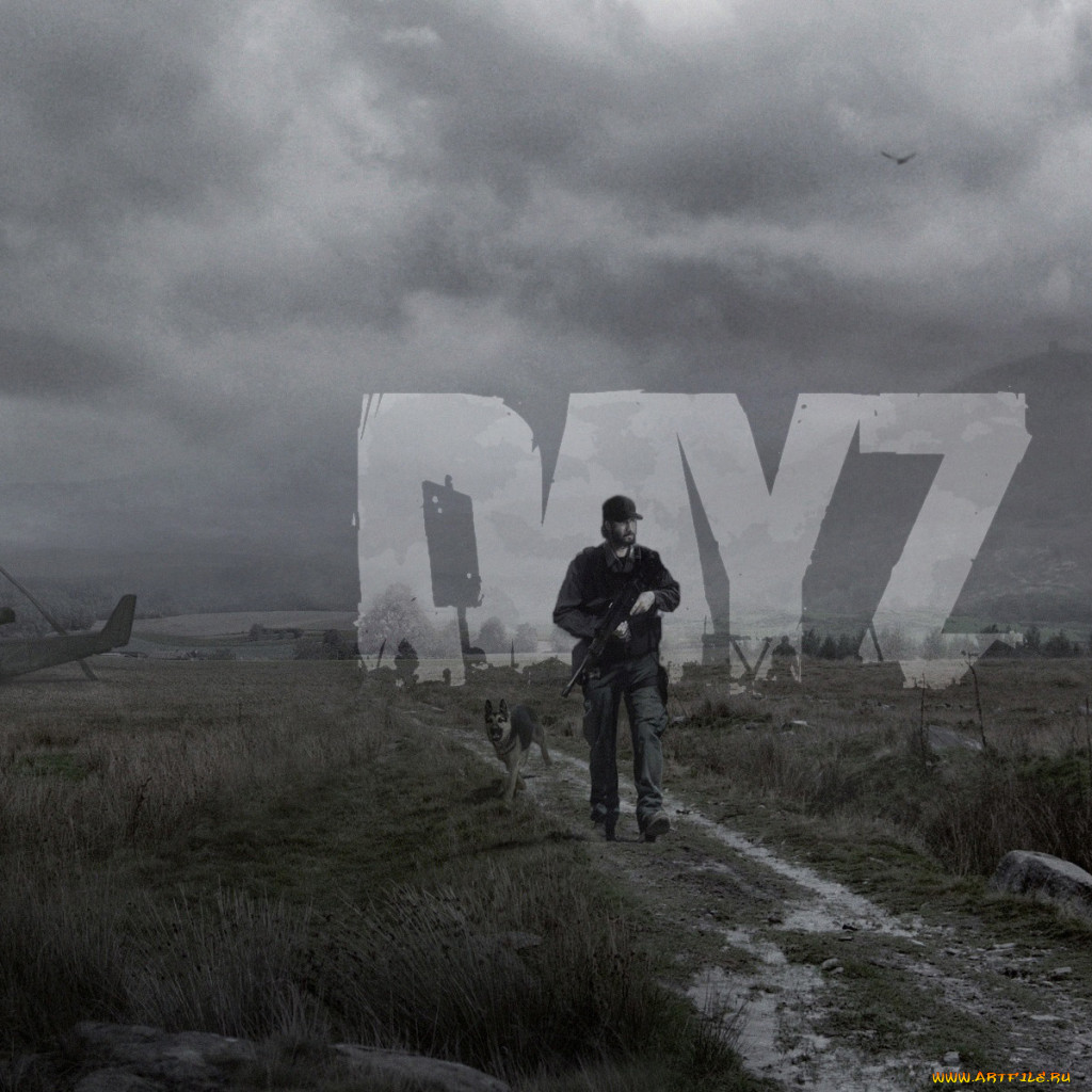 Обои DayZ Видео Игры DayZ Standalone, обои для рабочего стола, фотографии  dayz, видео игры, dayz standalone, дорога, небо, человек, heli, crash,  вертолет, собака, зомби, zombie, standalone, поле, day, z, серое Обои для